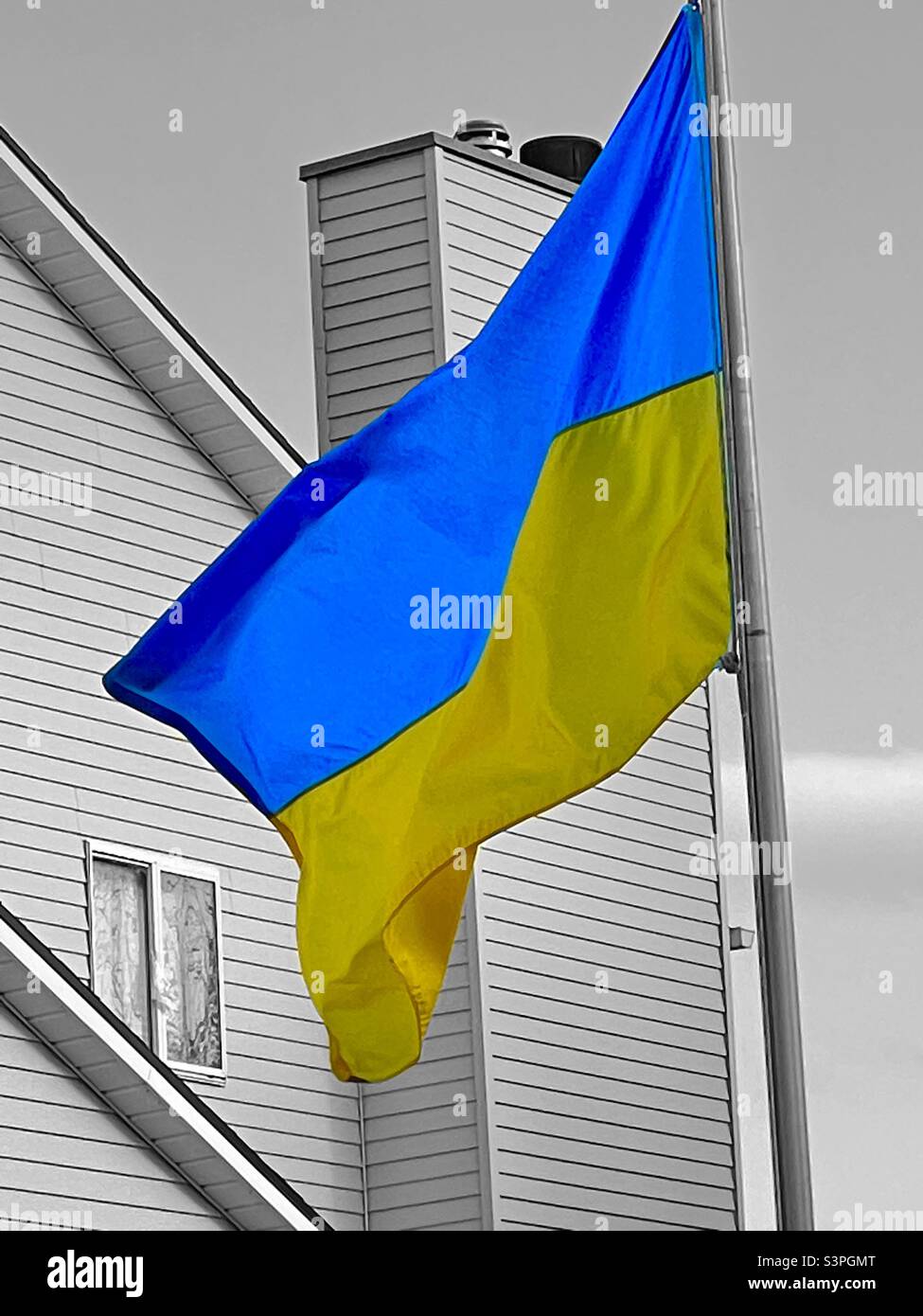 A Ukrainian flag is flown in a Utah, USA neighborhood in support of Ukraine and its’ people amidst a Russian invasion. - Smartphone Captured Stock Image