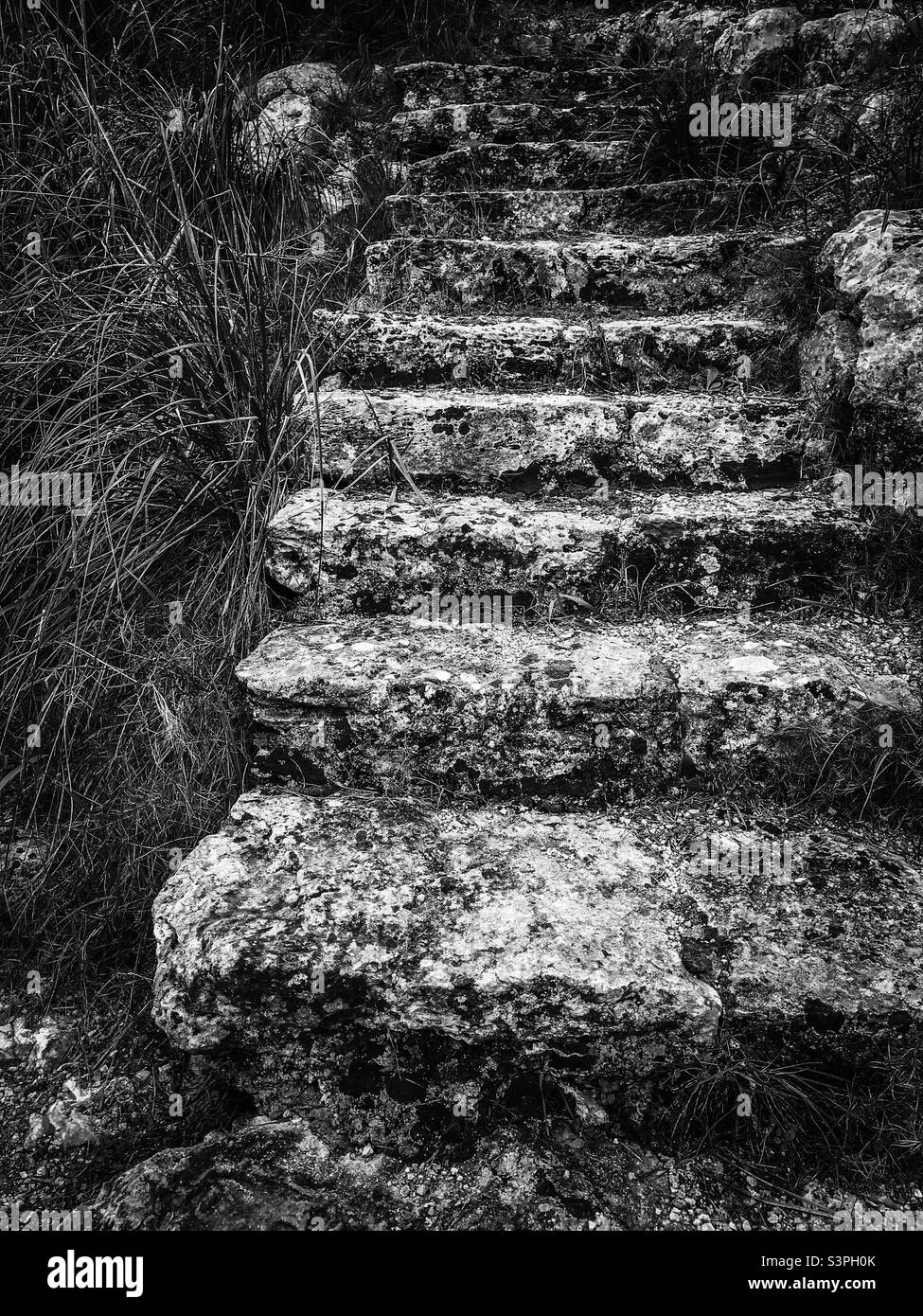 Old, worn village steps Stock Photo