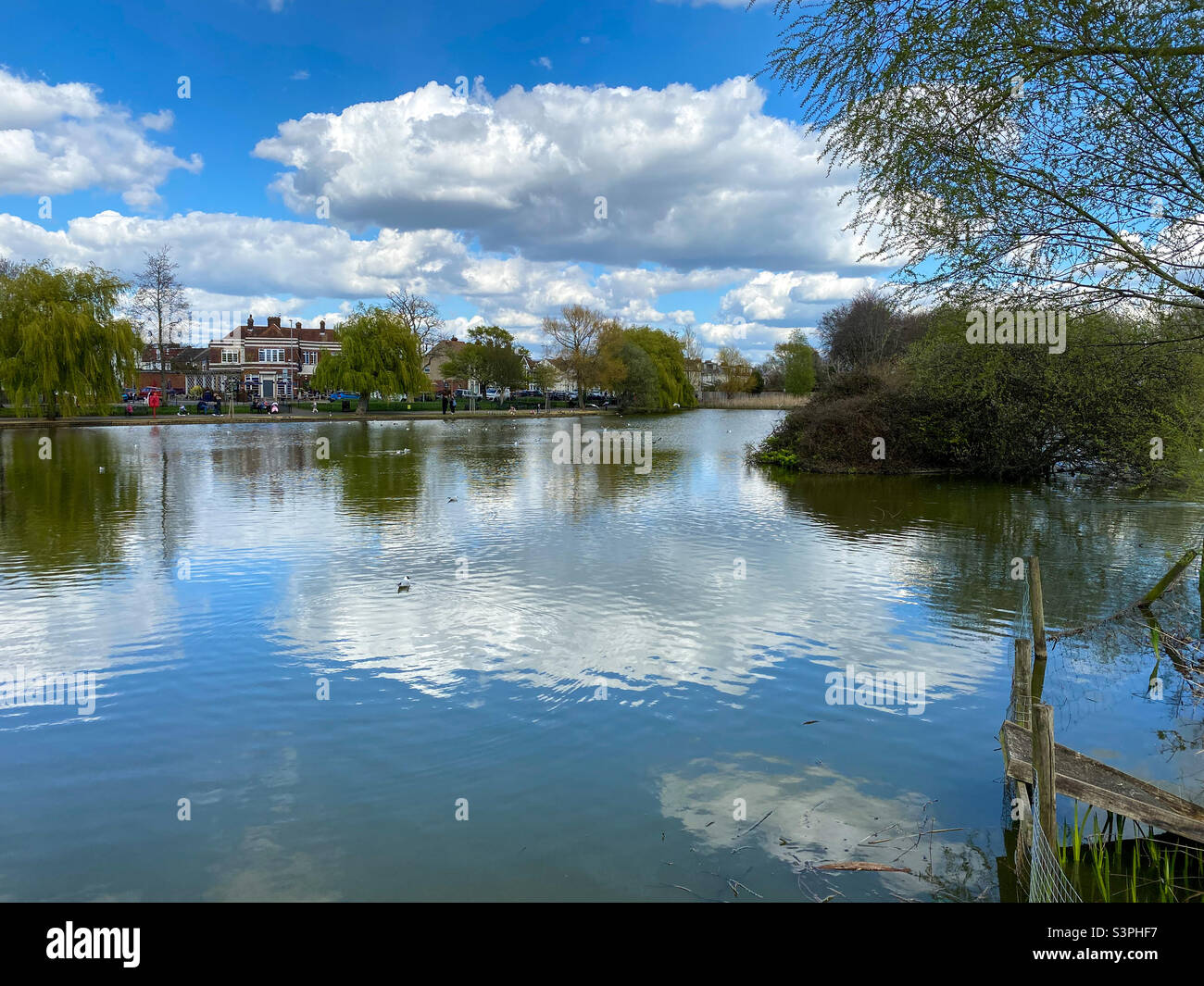 Baffins Pond, Portsmouth. A popular place for families with plenty of wild fowl to see - Smartphone Captured Stock Image
