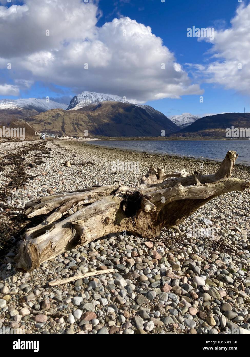 Shore of Loch Linhe Stock Photo