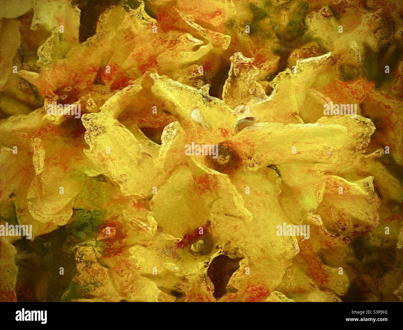 Forsythia blooming during a Utah, USA spring. Original iPhone image has been enhanced and  made painterly using the IOS app Oilist. - Smartphone Captured Stock Image