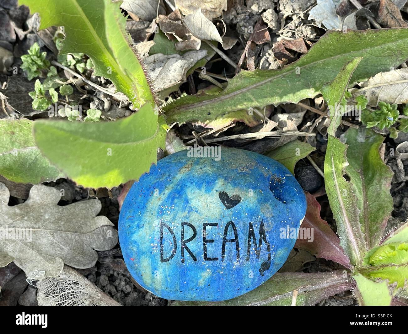 A blue “DREAM” rock sitting amongst the weeds encourages persistence when seeking our dreams, even while dealing with the trials, problems and “weeds” of life. - Smartphone Captured Stock Image