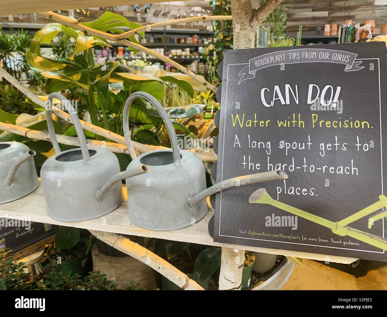 Watering cans on display at the flower shop - flower garden and nursery - funny sayings and quotes - words in the wild Stock Photo