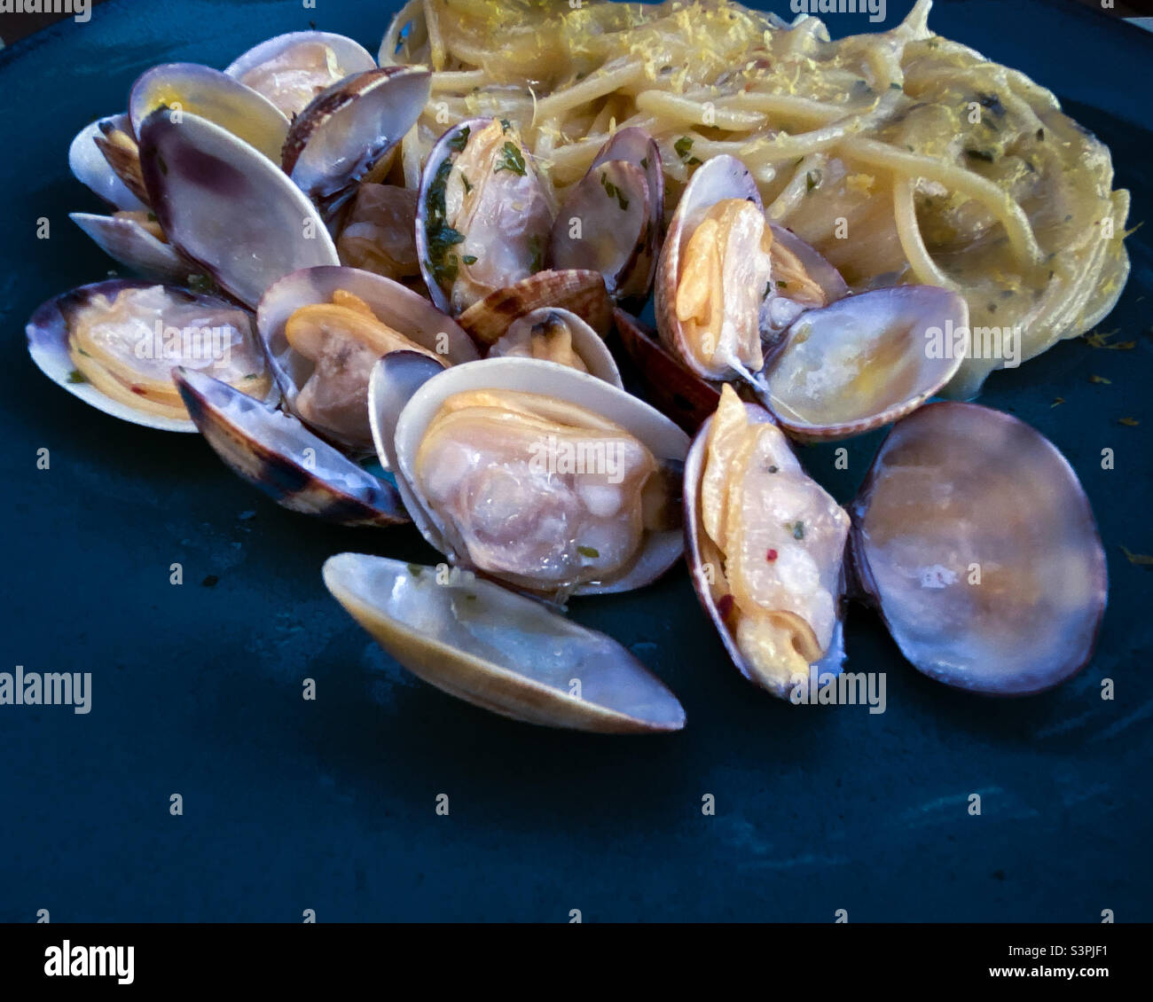 Spaghetti con vongole ( spaghetti with clams) - Smartphone Captured Stock Image