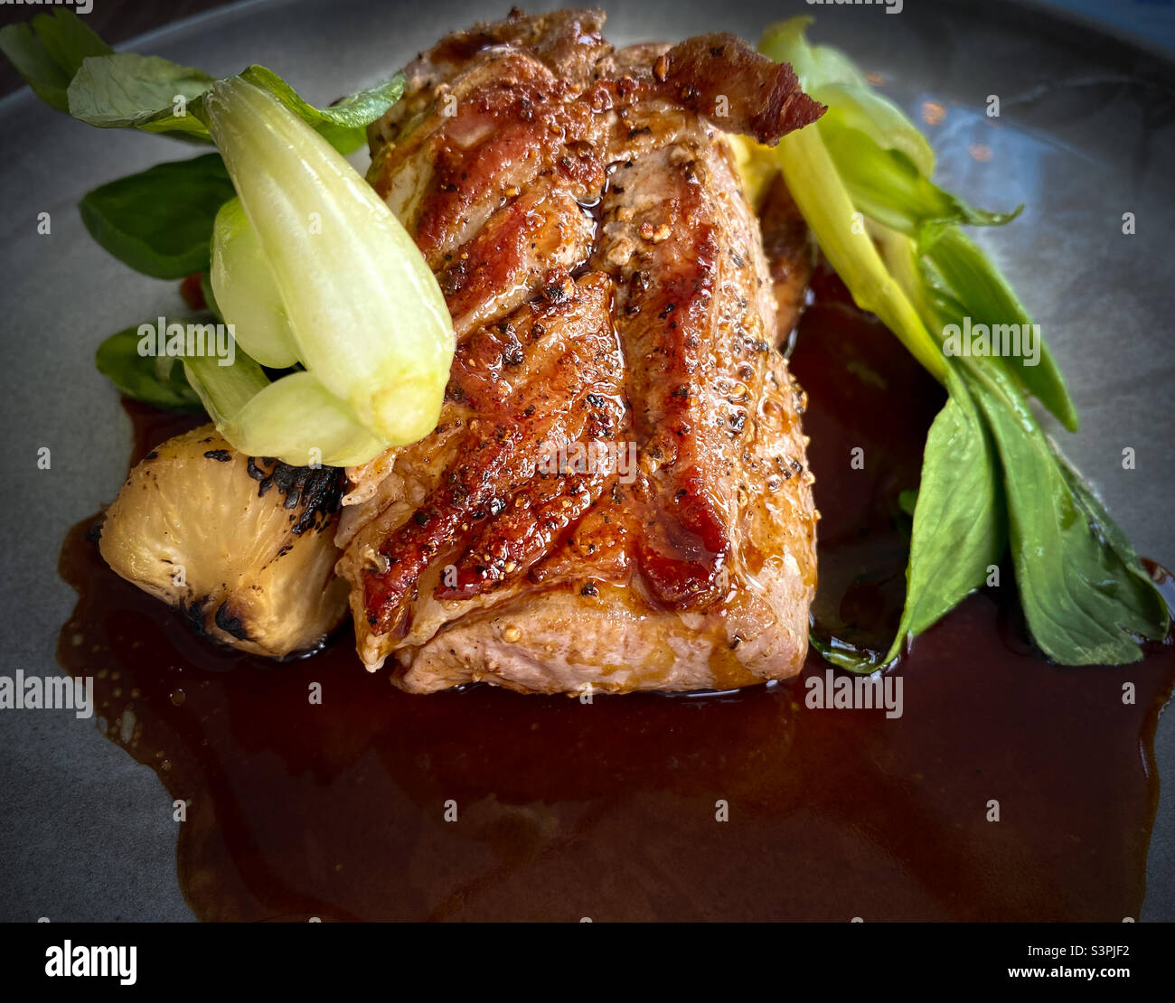 Gourmet grilled chicken with a side of bok choy - Smartphone Captured Stock Image