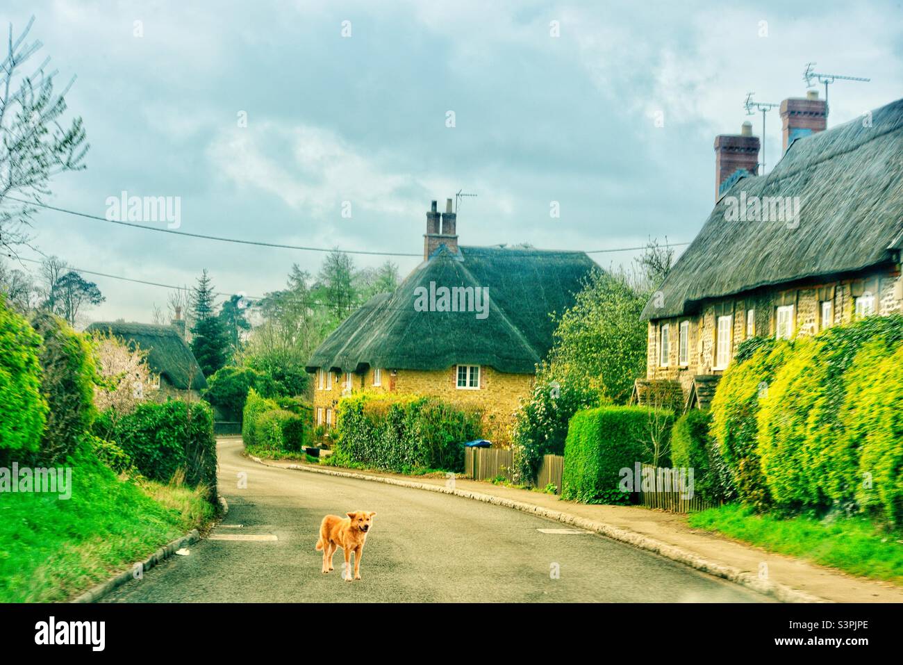 Thatched cottages Stock Photo