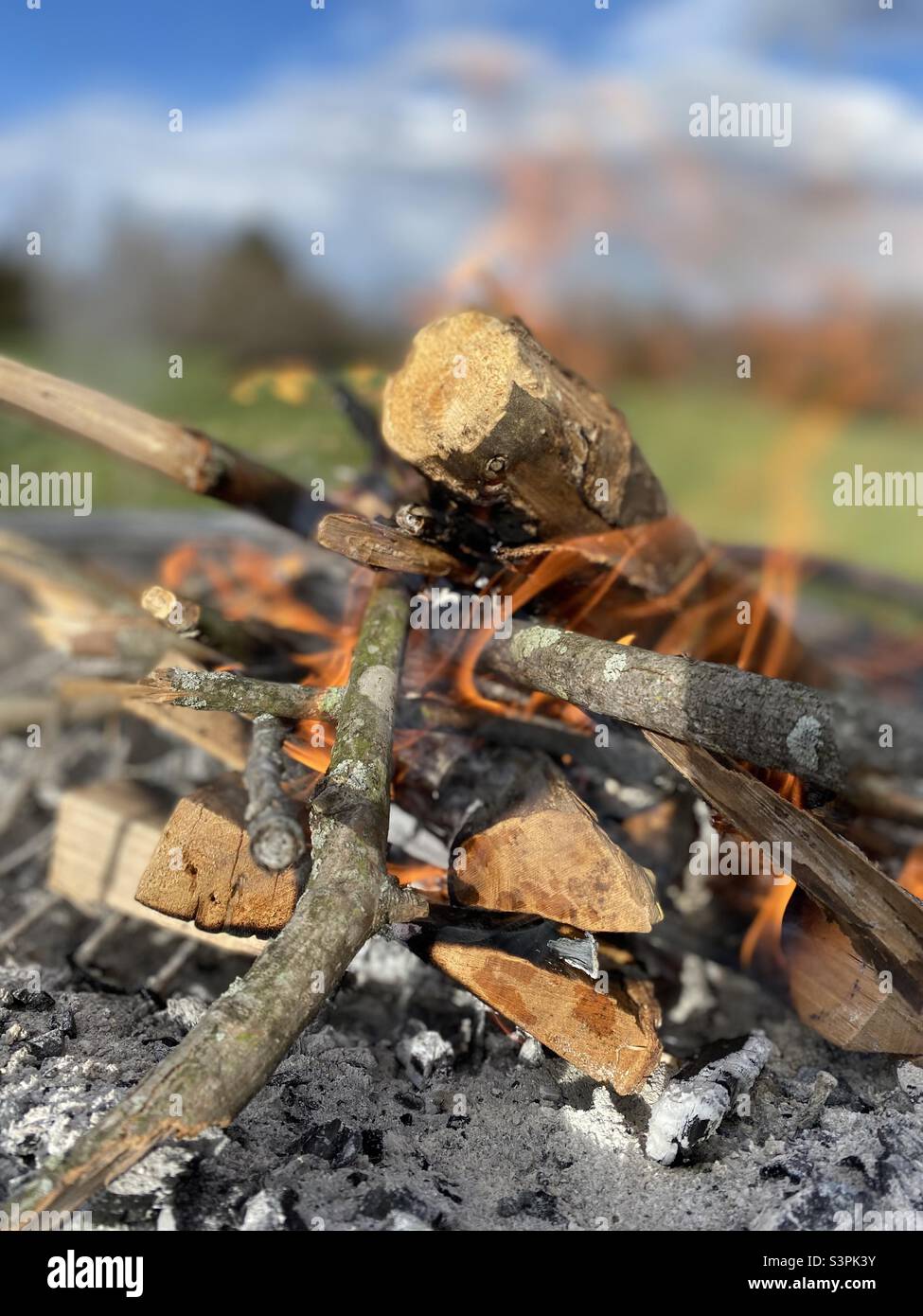 Wood logs burn hot in a firepit Stock Photo Alamy