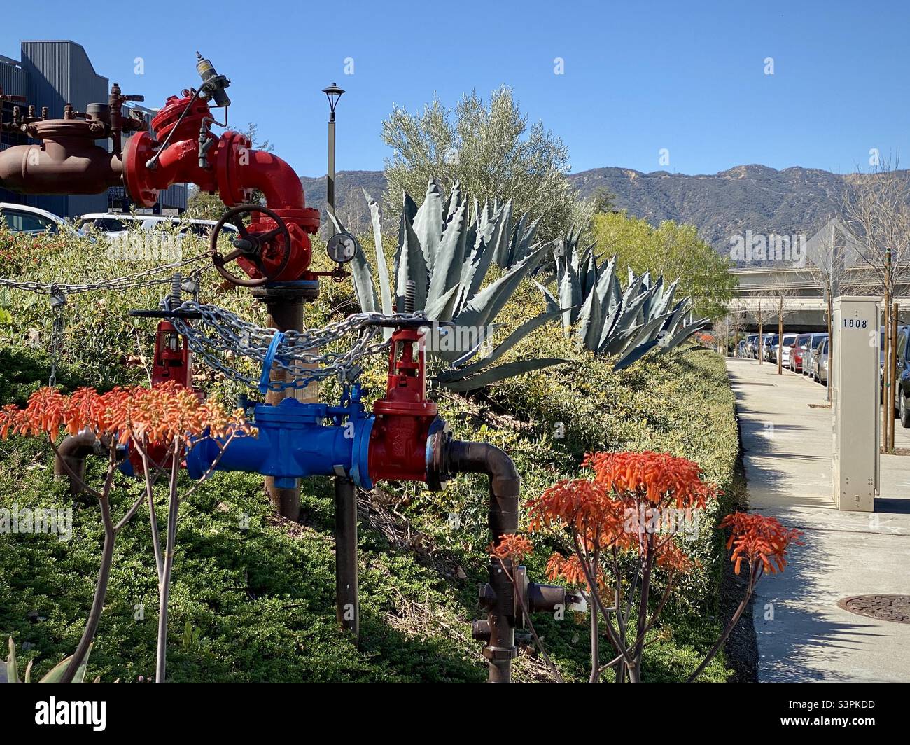 Colorful red and blue pipes surrounded by flowers and vegetarian at the side of a street in La Cañada Flintridge, California, with mountains in background Stock Photo