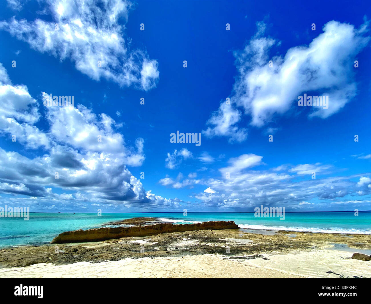 Beach in Bimini, Bahamas Stock Photo