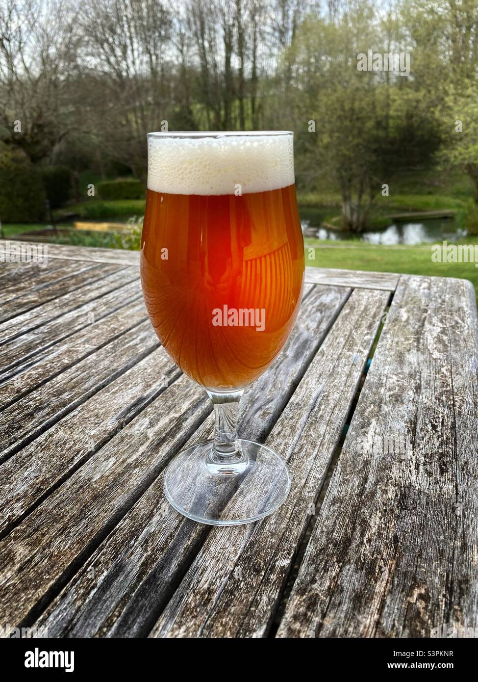 Glass of Saison beer on a wooden table Stock Photo