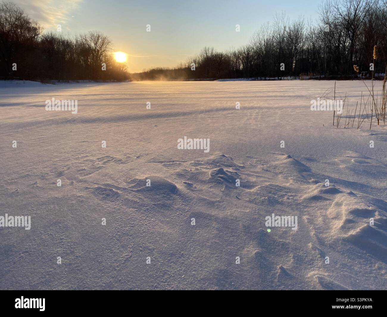 Parc Angrignon à Montréal Canada Stock Photo Alamy