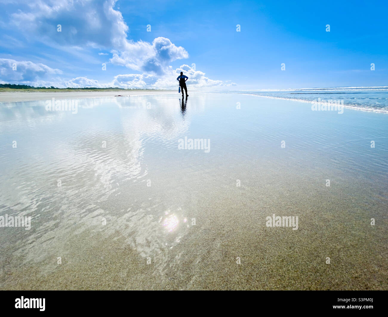 Clamming during low tide at Long Beach, Washington, the longest stretch of sandy beach in the west coast of USA Stock Photo