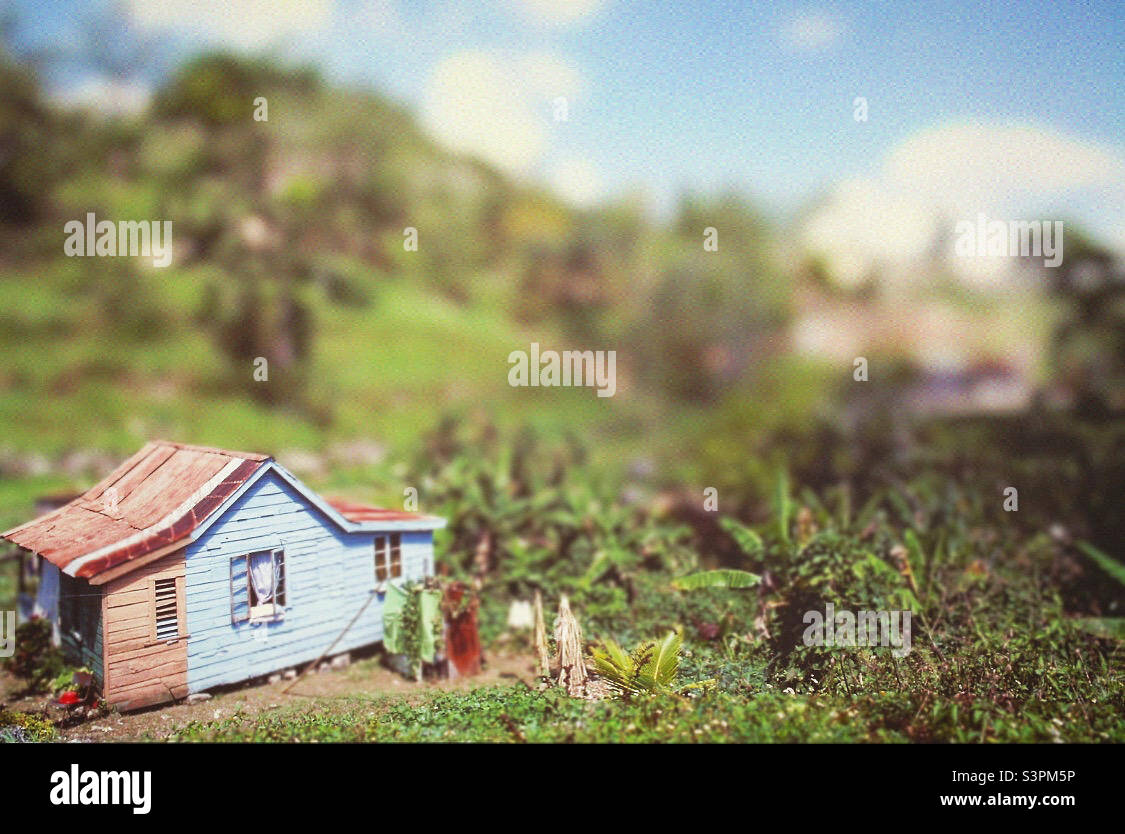 A wooden house in the world Jamaica. - Smartphone Captured Stock Image