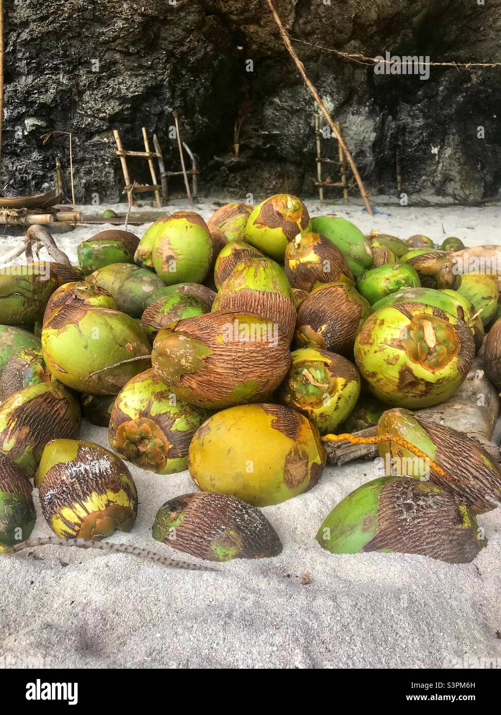 A pile of coconuts on a beach Stock Photo