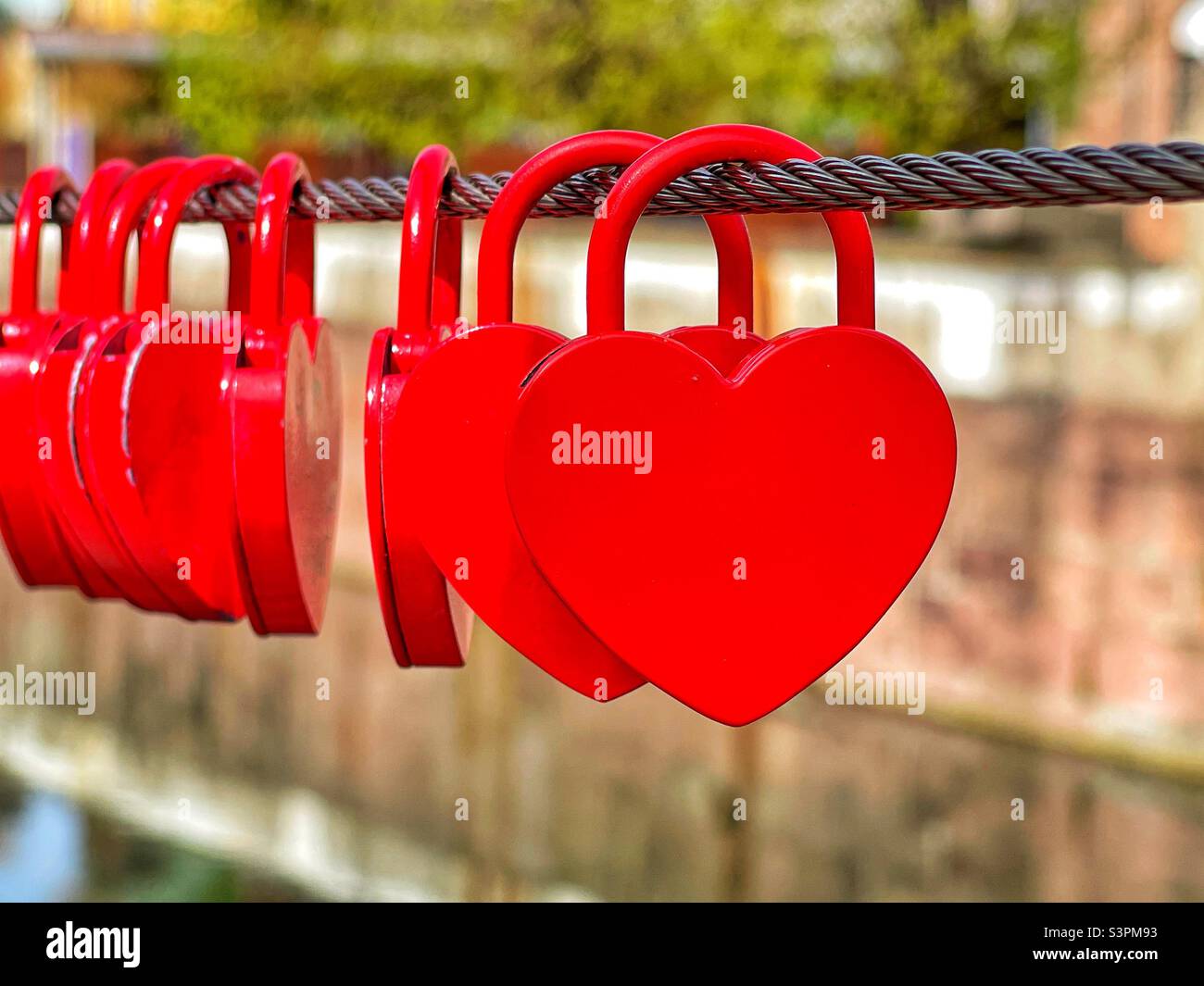 Red heart shaped locks on a steel wire cable. No people. Stock Photo