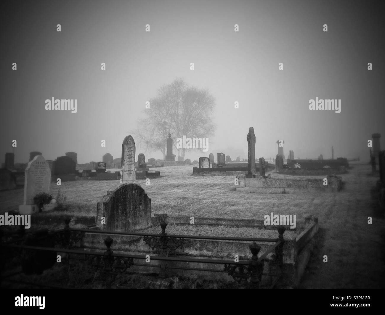Misty morning in graveyard - Smartphone Captured Stock Image
