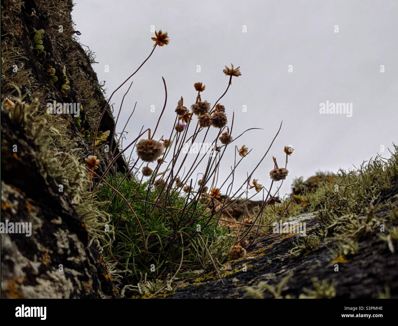 Coastal donegal hi-res stock photography and images - Alamy