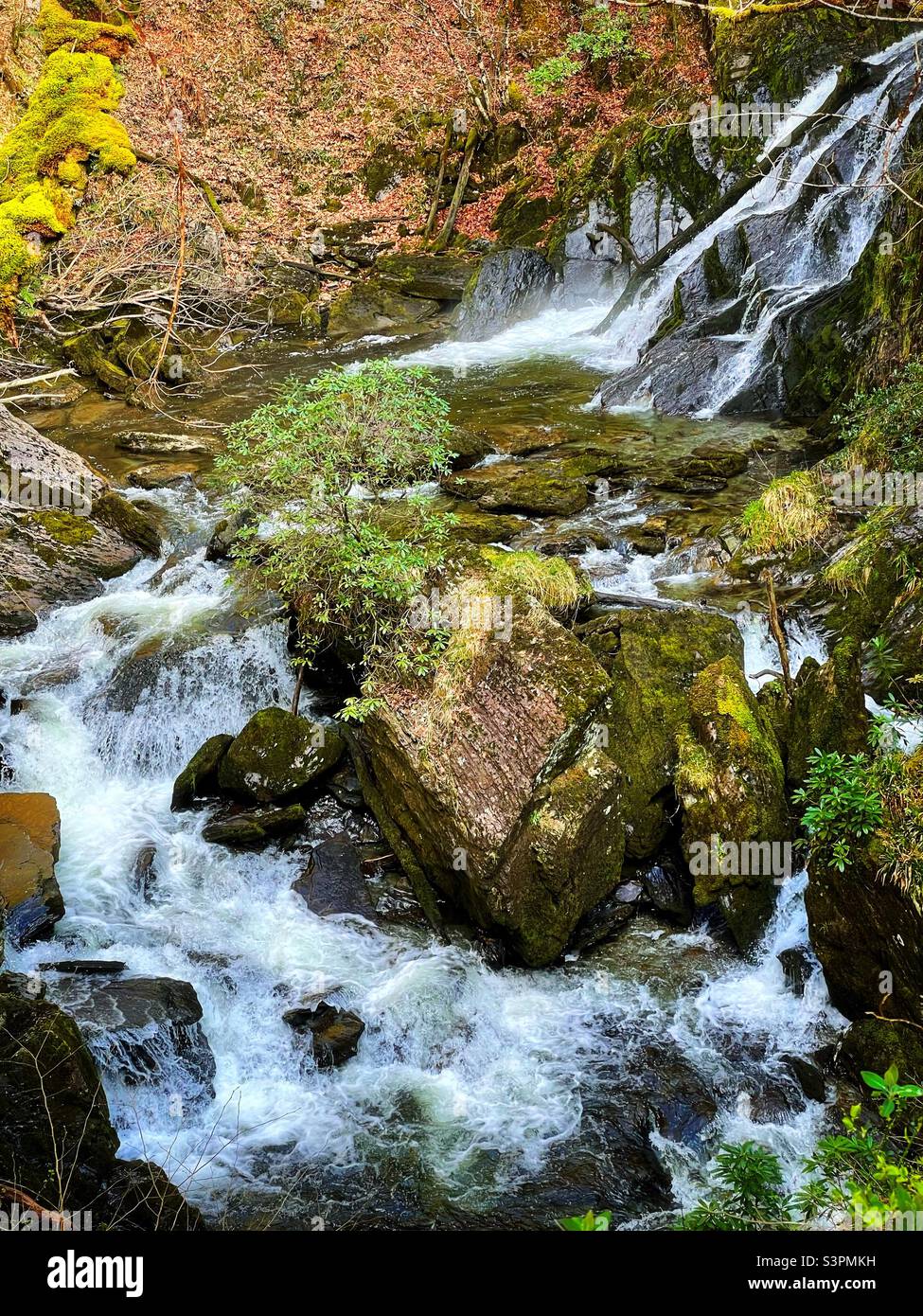 Waterfall at Devil’s Bridge, Pontarfynach, Ceredigion, Mid Wales. Stock Photo