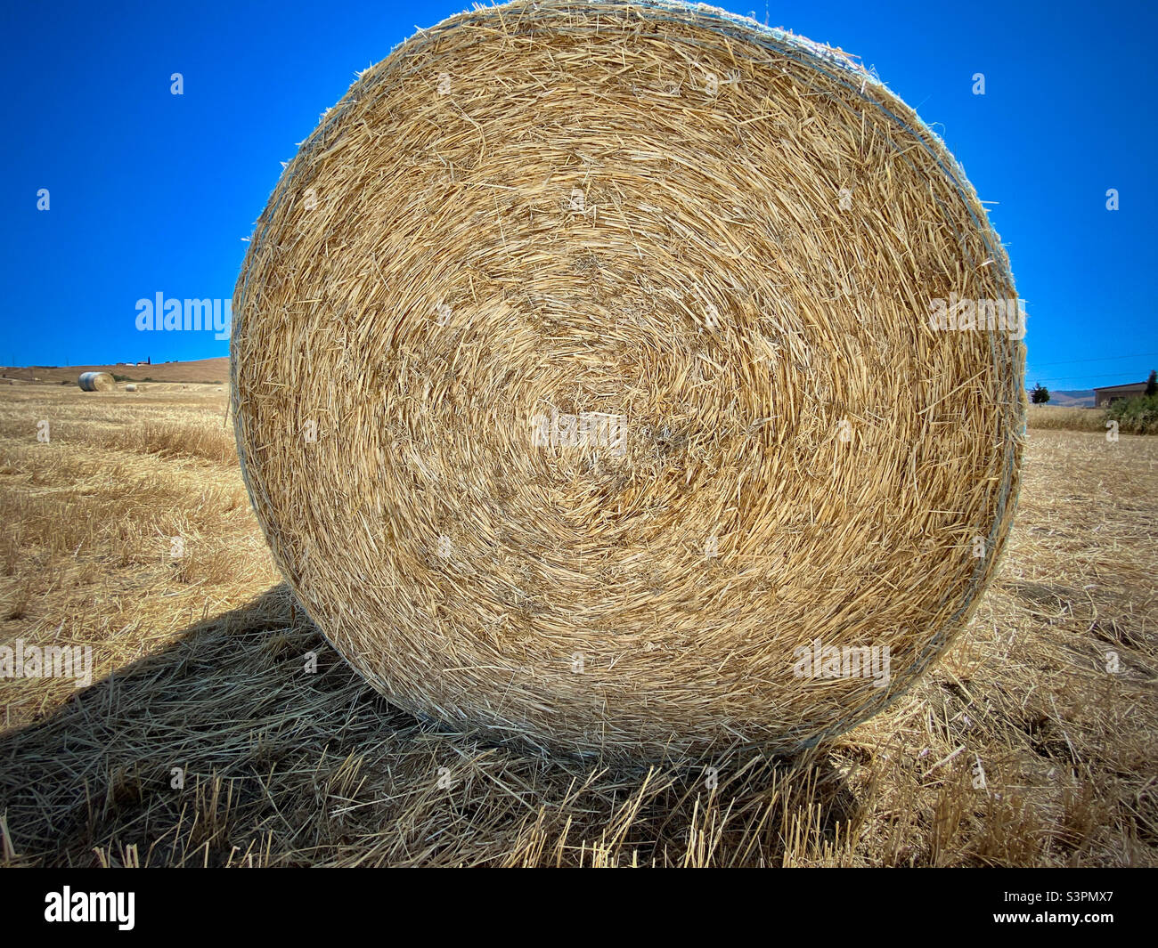 Large bale/roll of hay in the Tuscan countryside. Tuscany, Italy Stock Photo