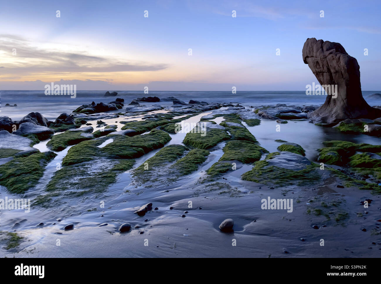 moss season on ancient sea - Smartphone Captured Stock Image