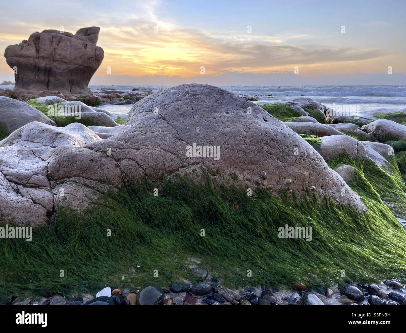 moss season on ancient sea - Smartphone Captured Stock Image