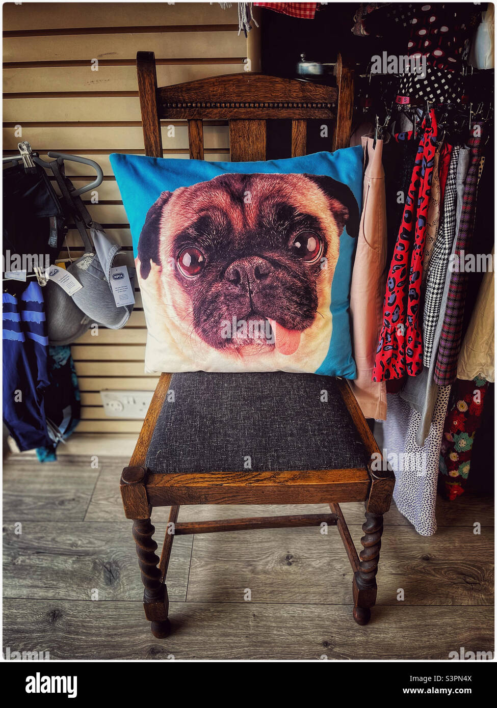 Pug dog cushion in a charity shop - Smartphone Captured Stock Image