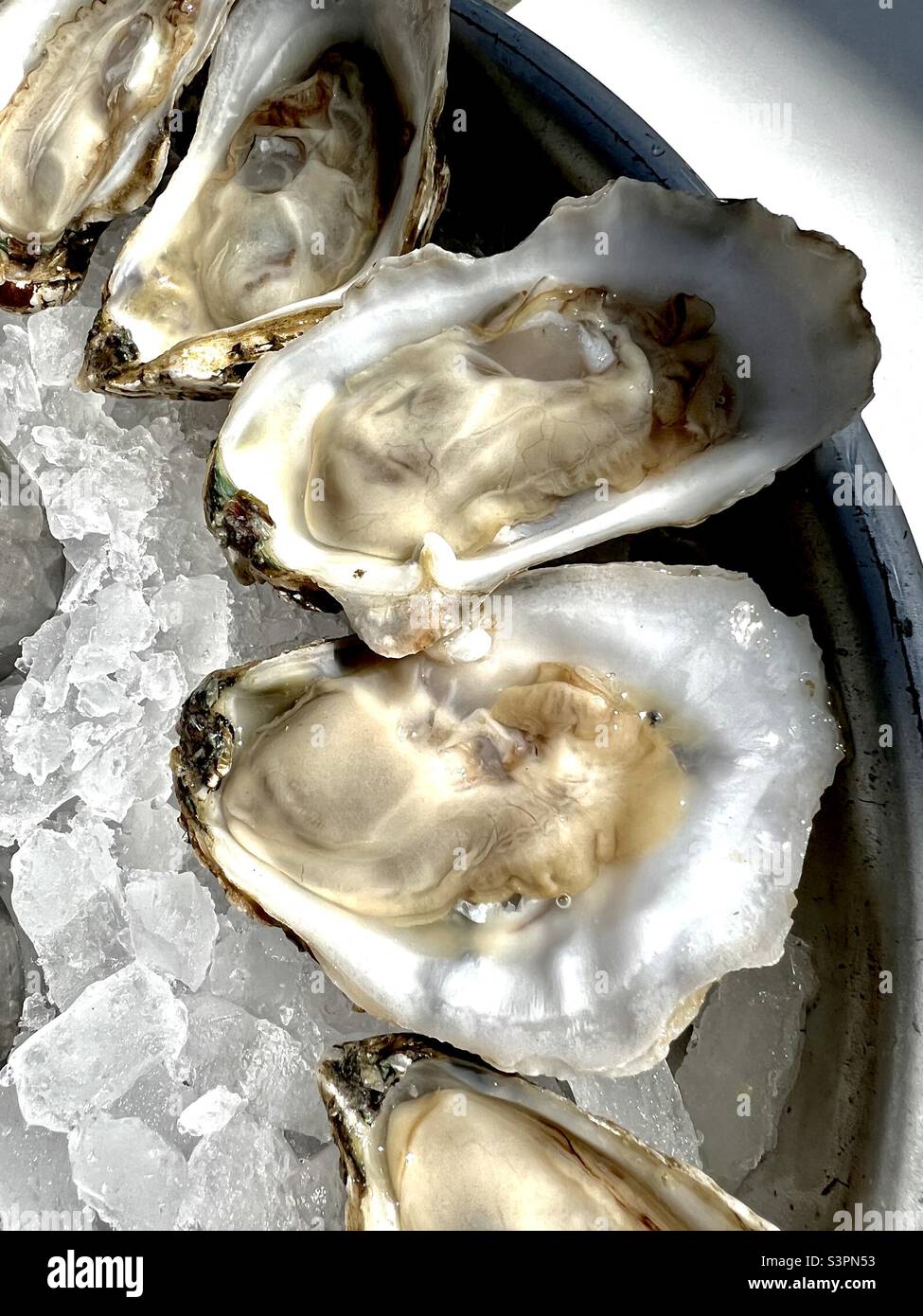Oysters on the Half shell served on ice Stock Photo
