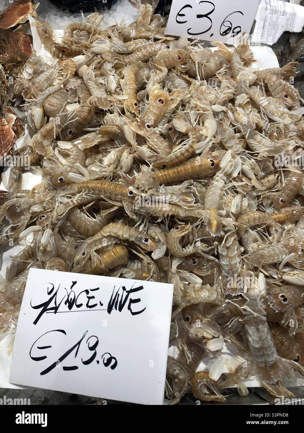 Shrimp in fish market in Italy - Smartphone Captured Stock Image