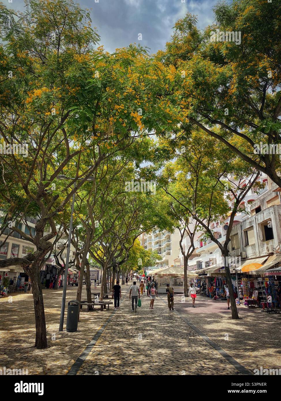 Pedestrian street with tall blossoming trees in the old part of Albufeira, Algarve, Portugal. - Smartphone Captured Stock Image