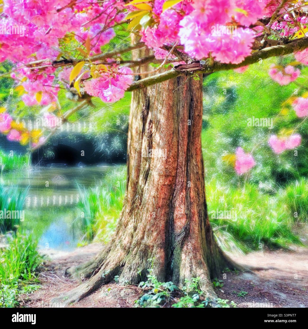 London peckham park bridge hi-res stock photography and images - Alamy