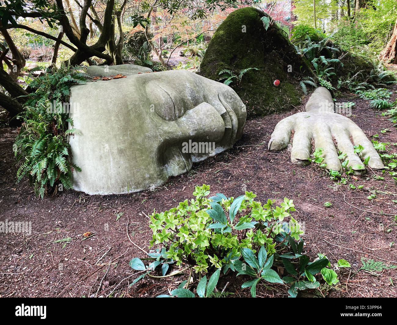 The Moss Lady in Victoria, BC. Stock Photo