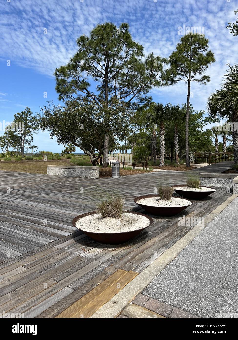 Landscape and garden area in Port St. Joe Florida - Smartphone Captured Stock Image Landscape and garden area in Port St. Joe Florida - Smartphone Captured Stock Image