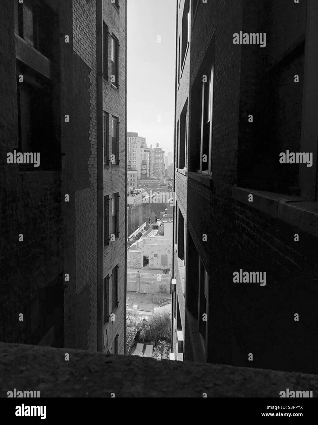 Peek a boo Stock Photo - Alamy