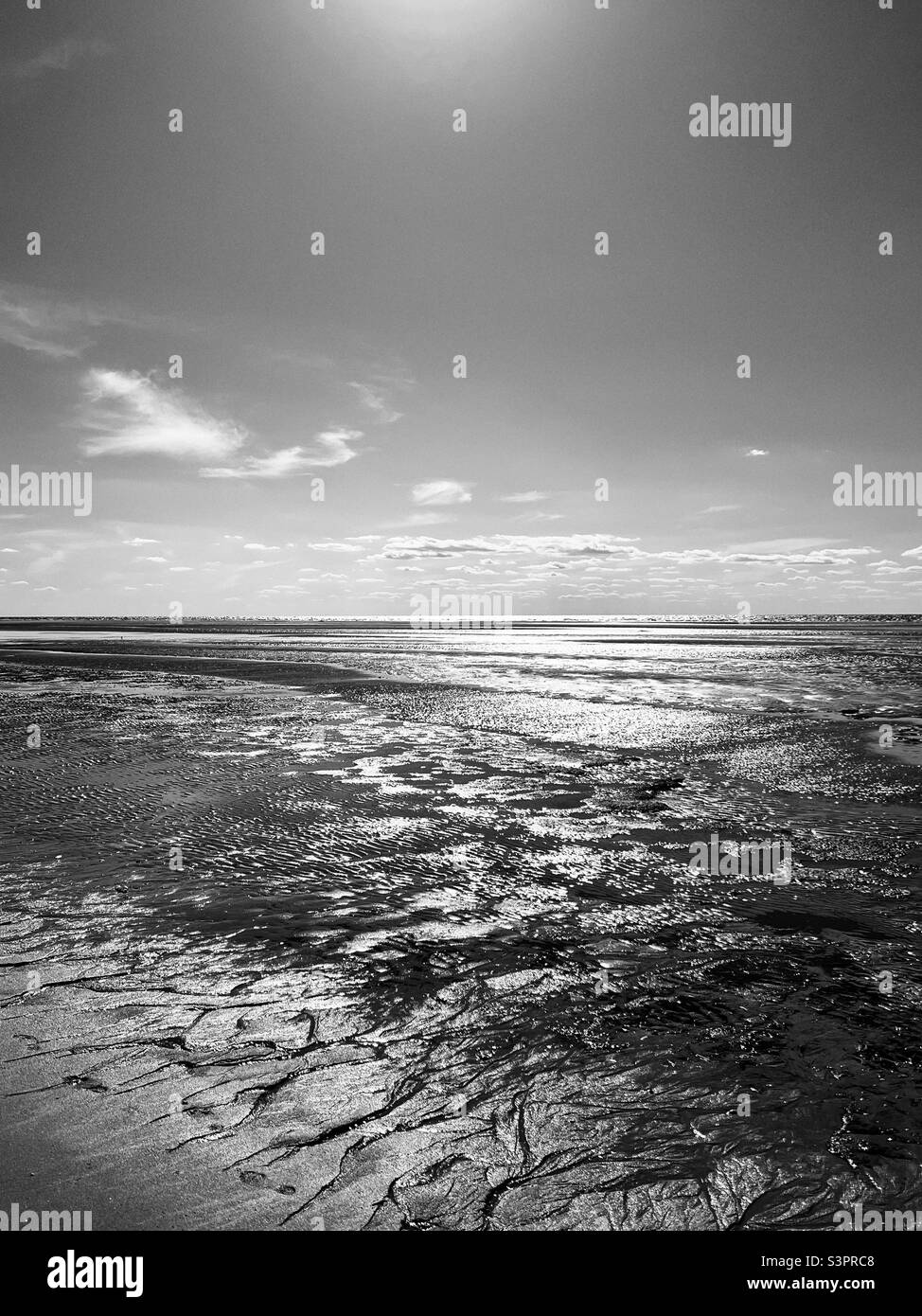 Black and white beach landscape at low tide, from Cape May, New Jersey, USA. Stock Photo