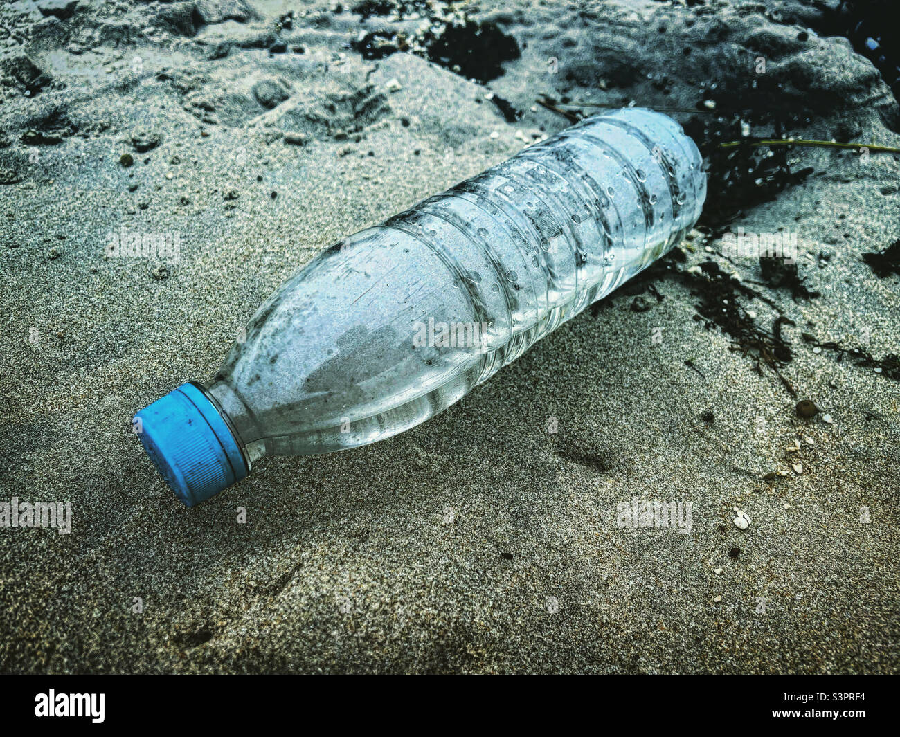 waste plastic water bottle on the sand near the sea Stock Photo