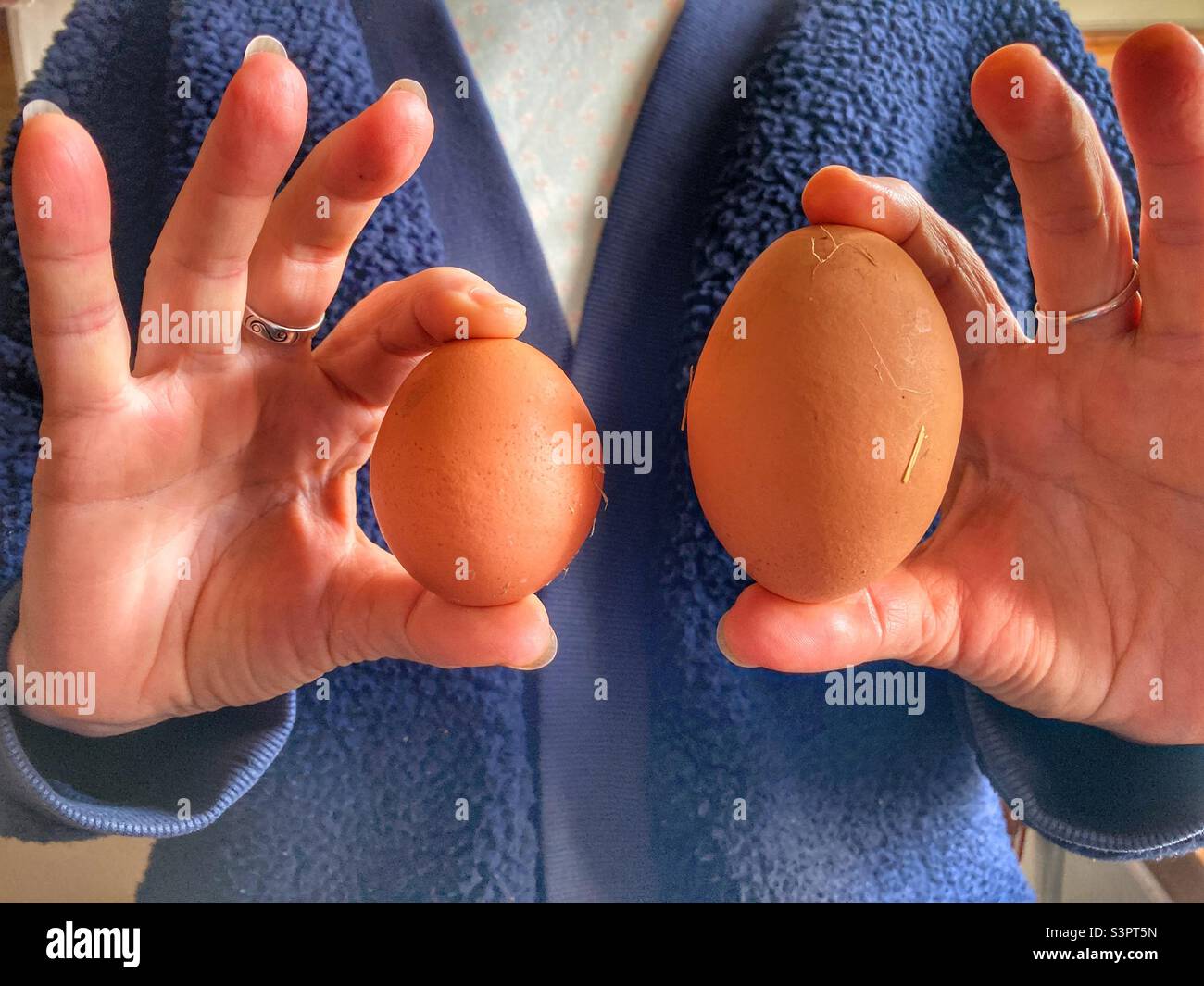 Woman holding up two fresh organic chicken eggs, one small, one very big. The big one is probably a double yolk Stock Photo