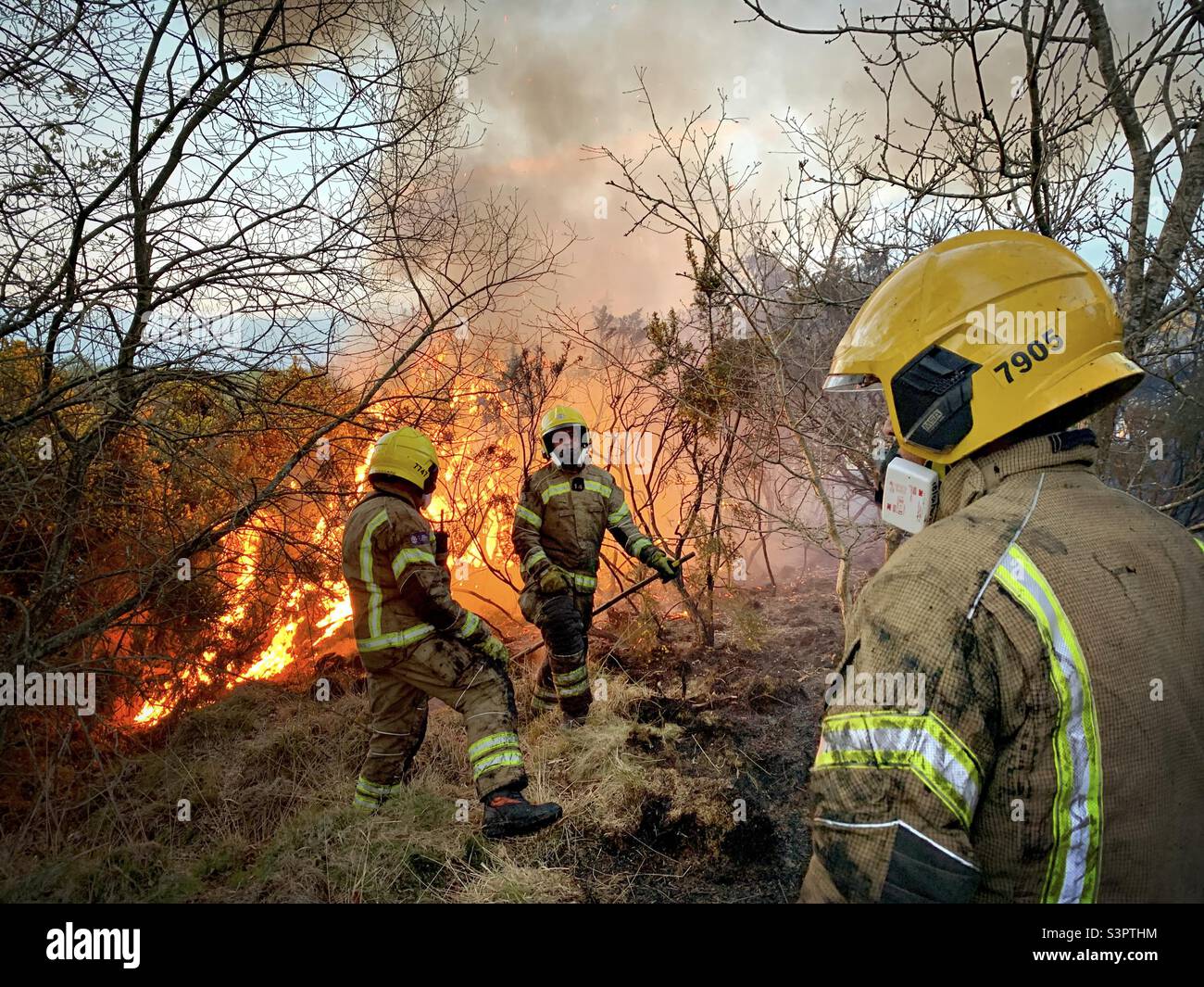 Firefighters on the scene of a wildfire on heathland near Yateley in Hampshire. Stock Photo