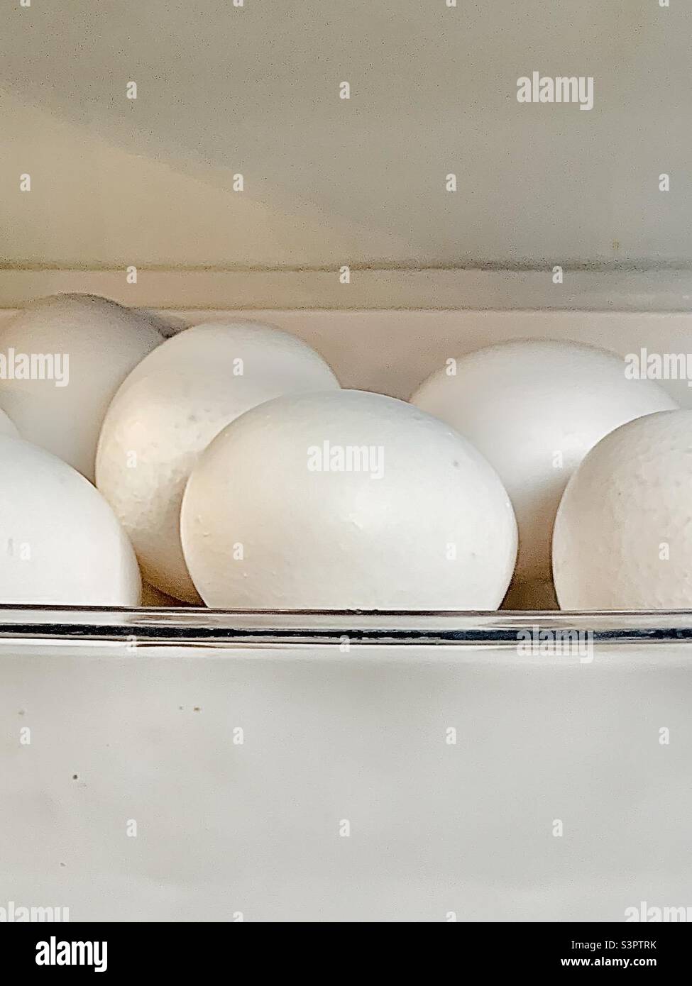 Eggs - Smartphone Captured Stock Image