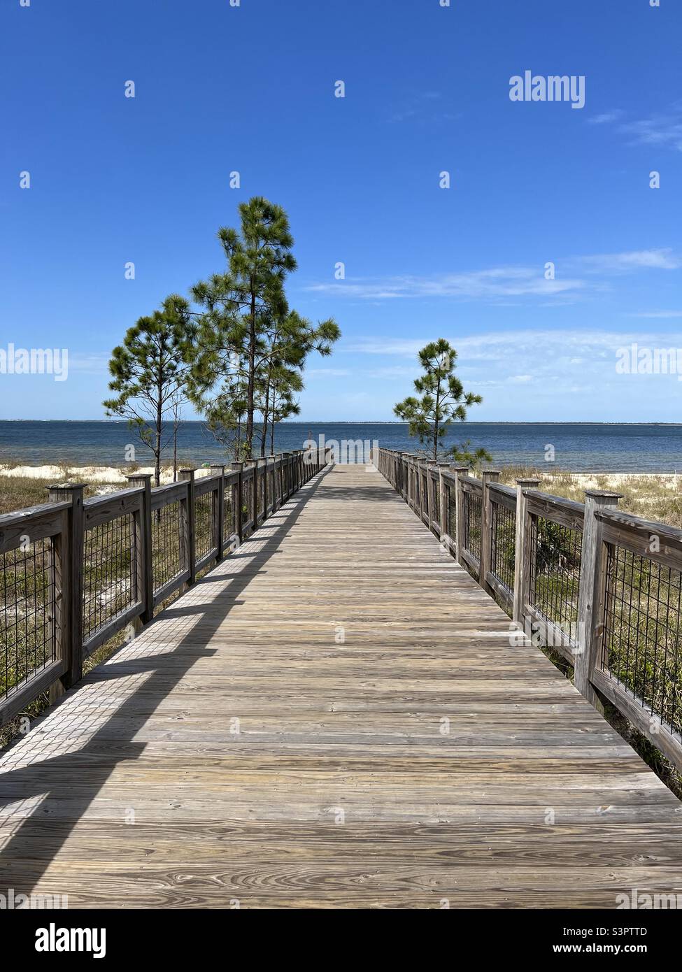 Wooden walkway to St. Joseph Bay in Port St. Joe Florida Stock Photo Alamy