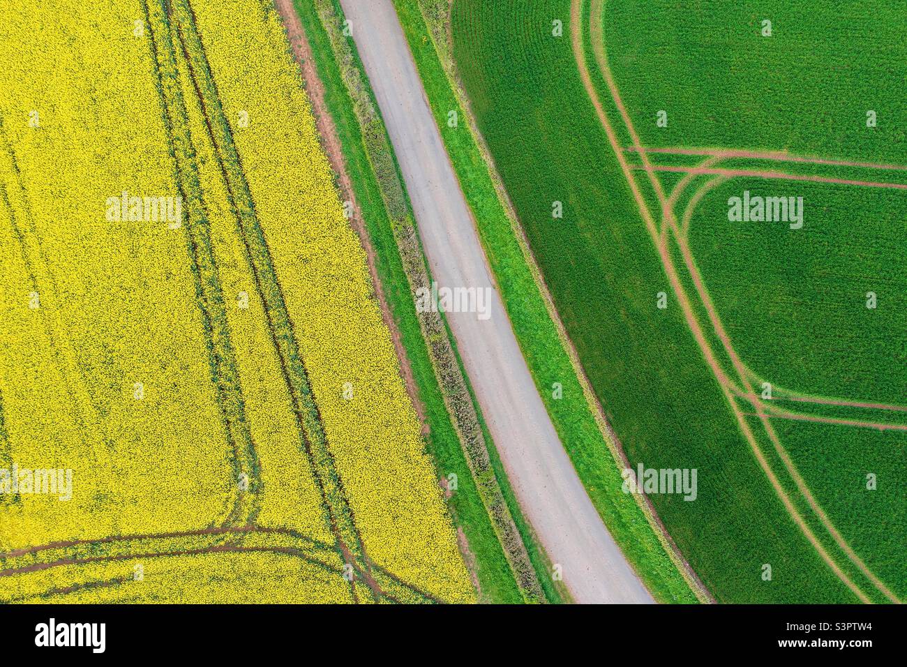Lines on the ground. - Smartphone Captured Stock Image