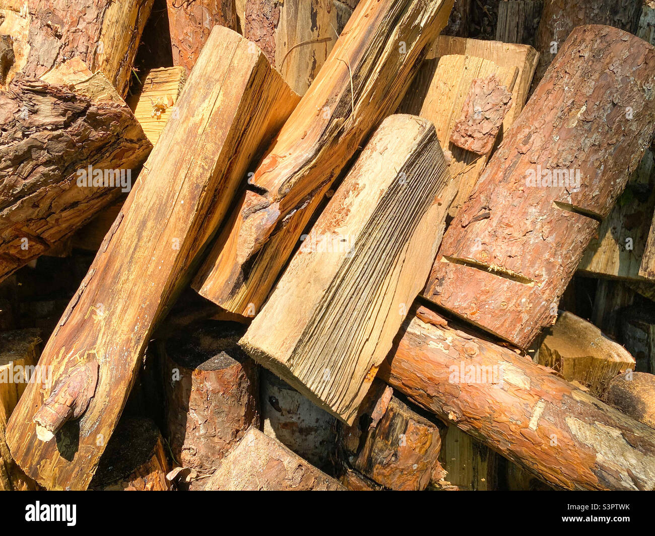 Background of chopped wood lying on top of each other.  Pile of chipped wood - Smartphone Captured Stock Image