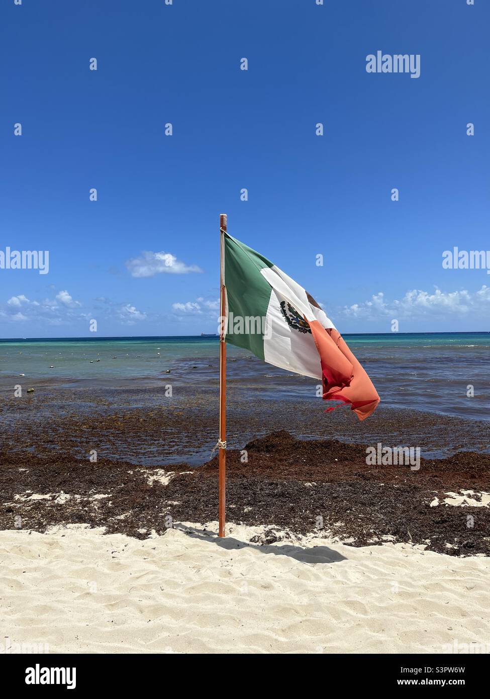 Mexican flag on beach flying in the breeze - Smartphone Captured Stock Image