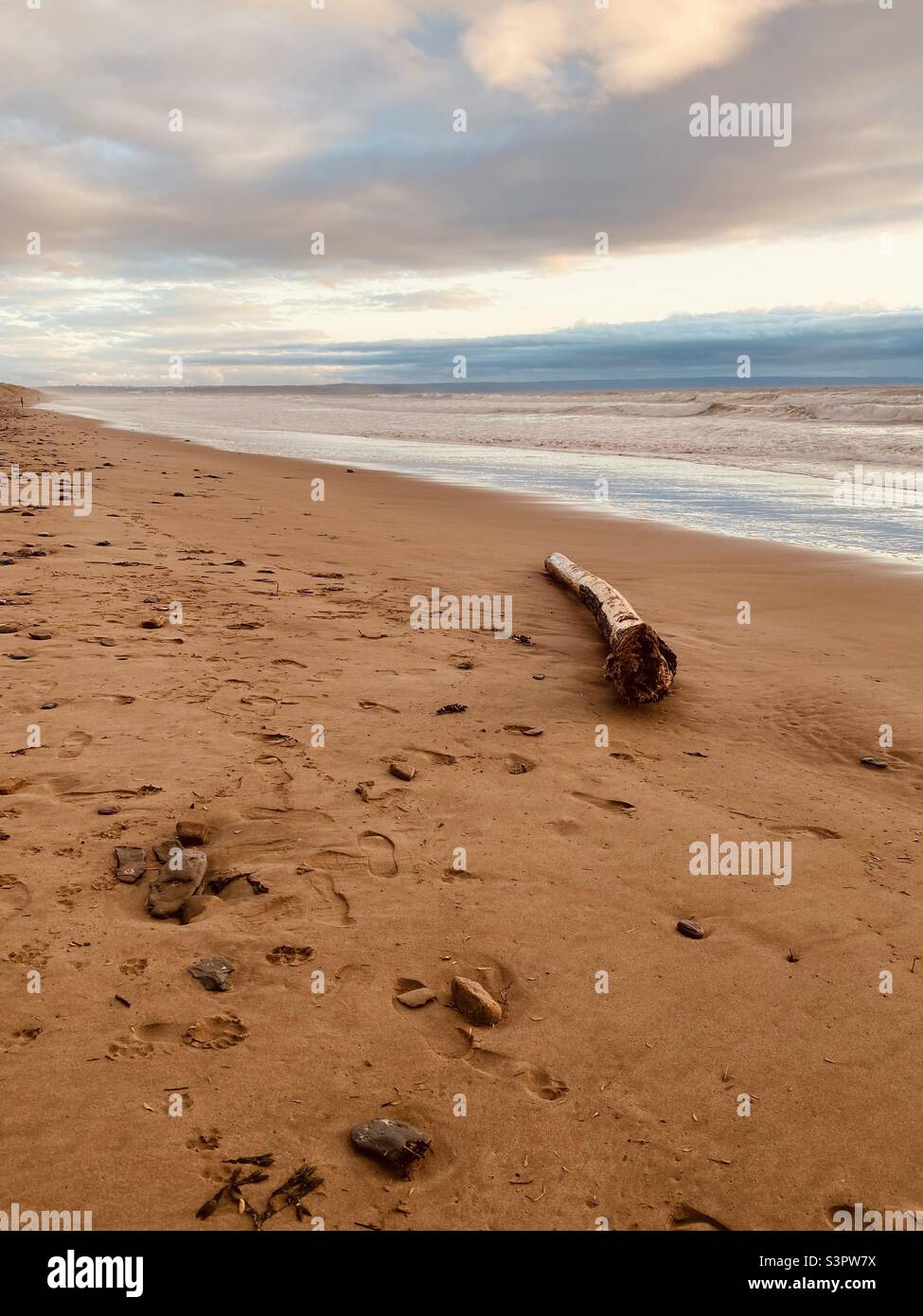 Beautiful Devon beach Stock Photo - Alamy