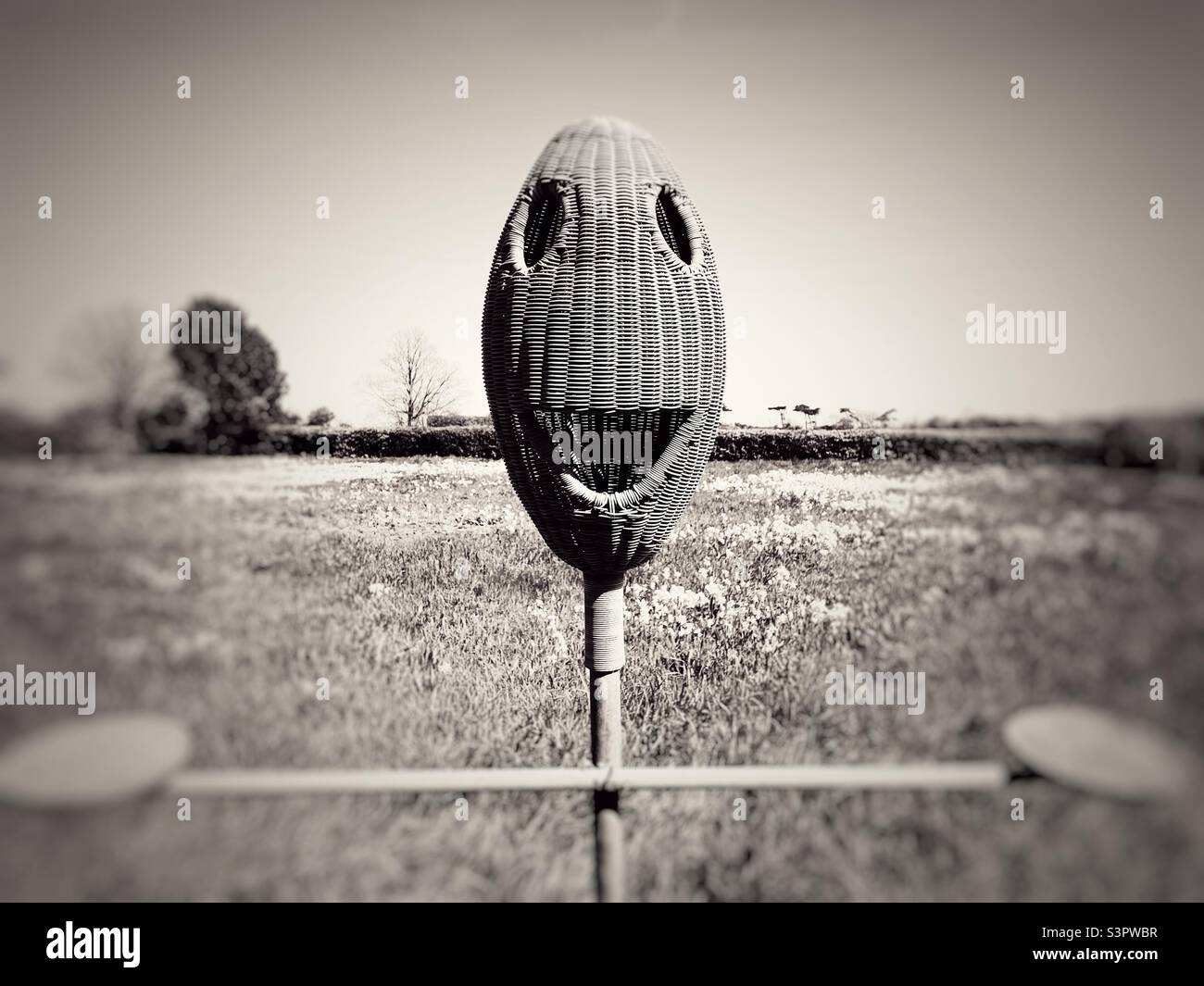 Wicker bird feeder - Smartphone Captured Stock Image