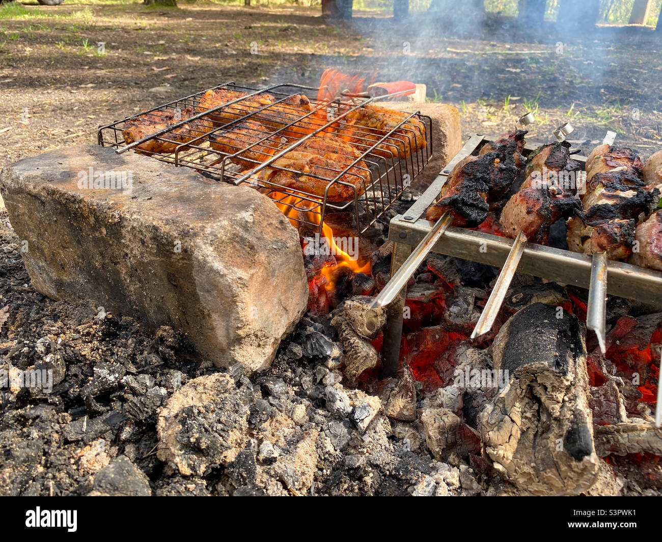 Roasts pork shish kebab and chicken shish kebab in nature. Roasting pork skewers on skewers and roasting chicken skewers on a grill on an open fire flame - Smartphone Captured Stock Image