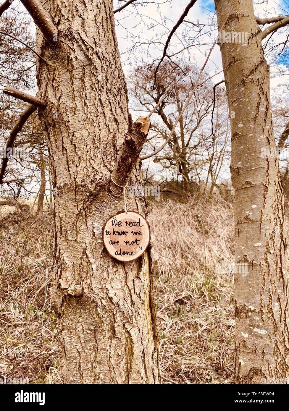 Little Tree Sign Cute little wooden sign hanging from a tree on a woodland walk, which ...