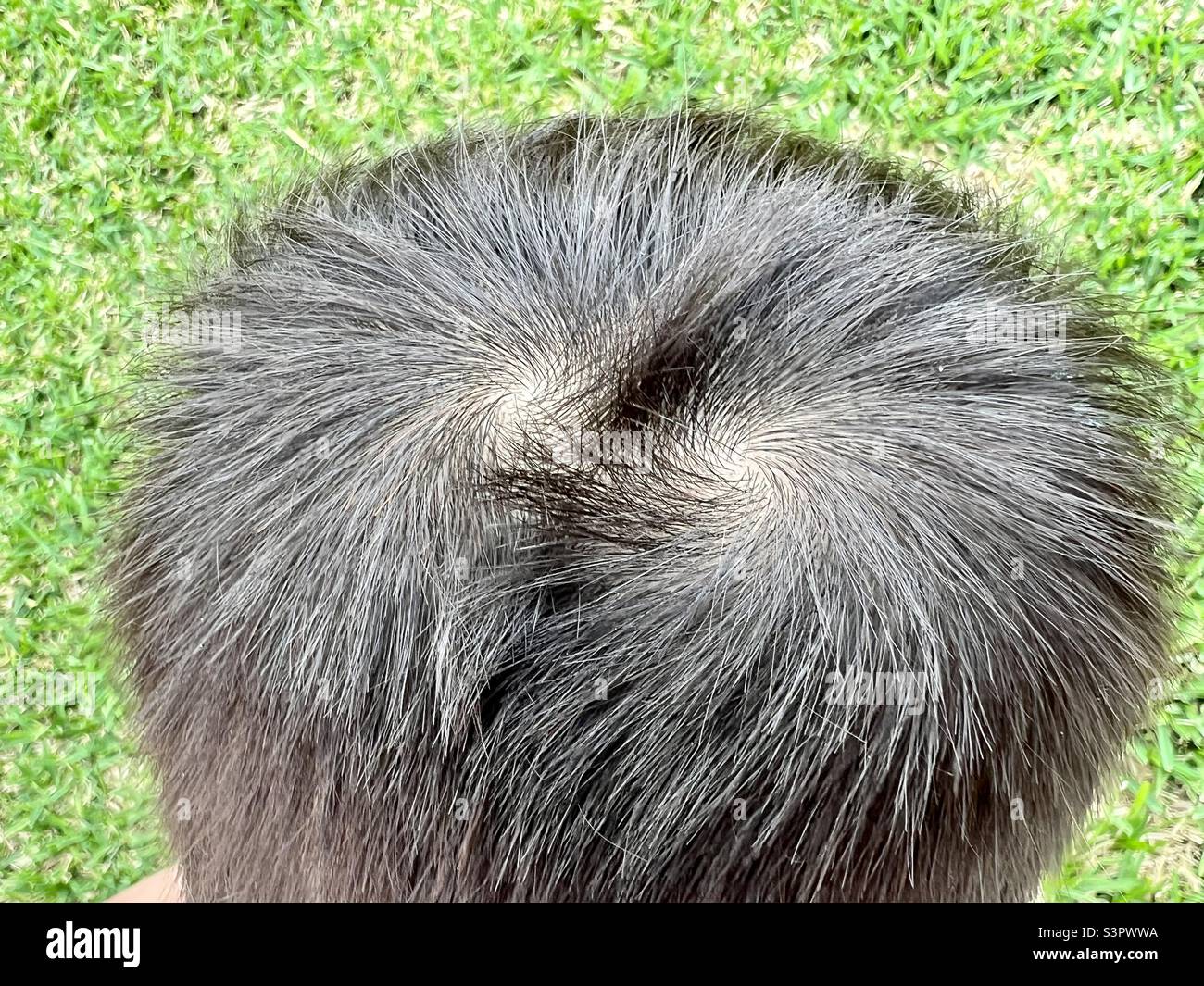 Double crown hair hi-res stock photography and images - Alamy