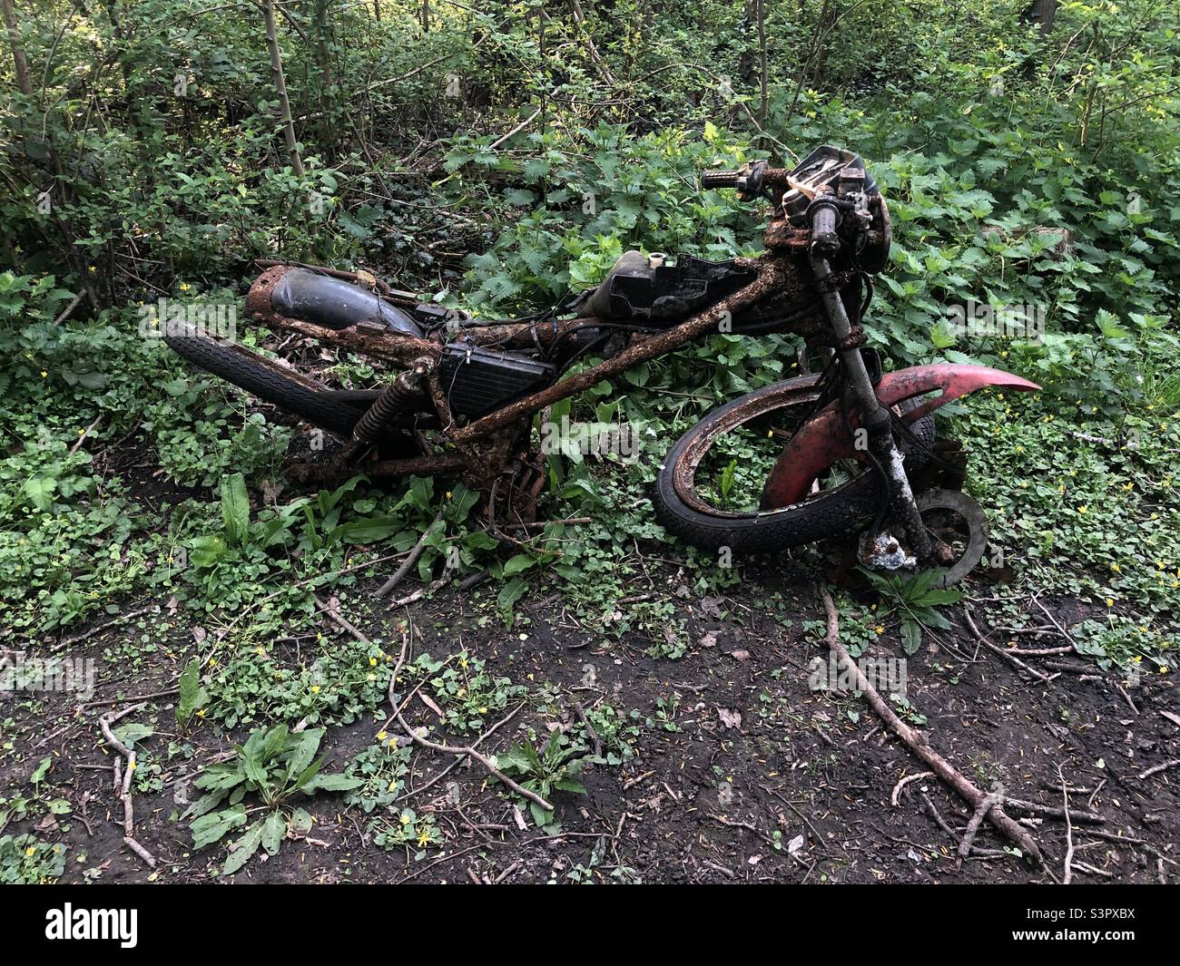 Abandoned motorcycle in a green field Stock Photo Alamy