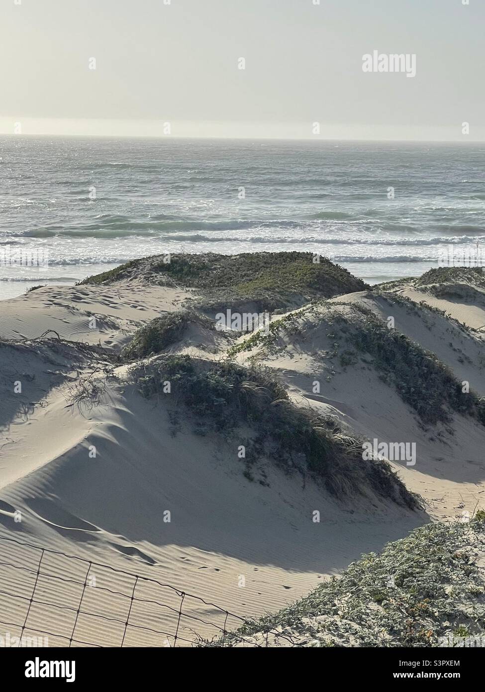 Sand Dunes on the Beach Stock Photo