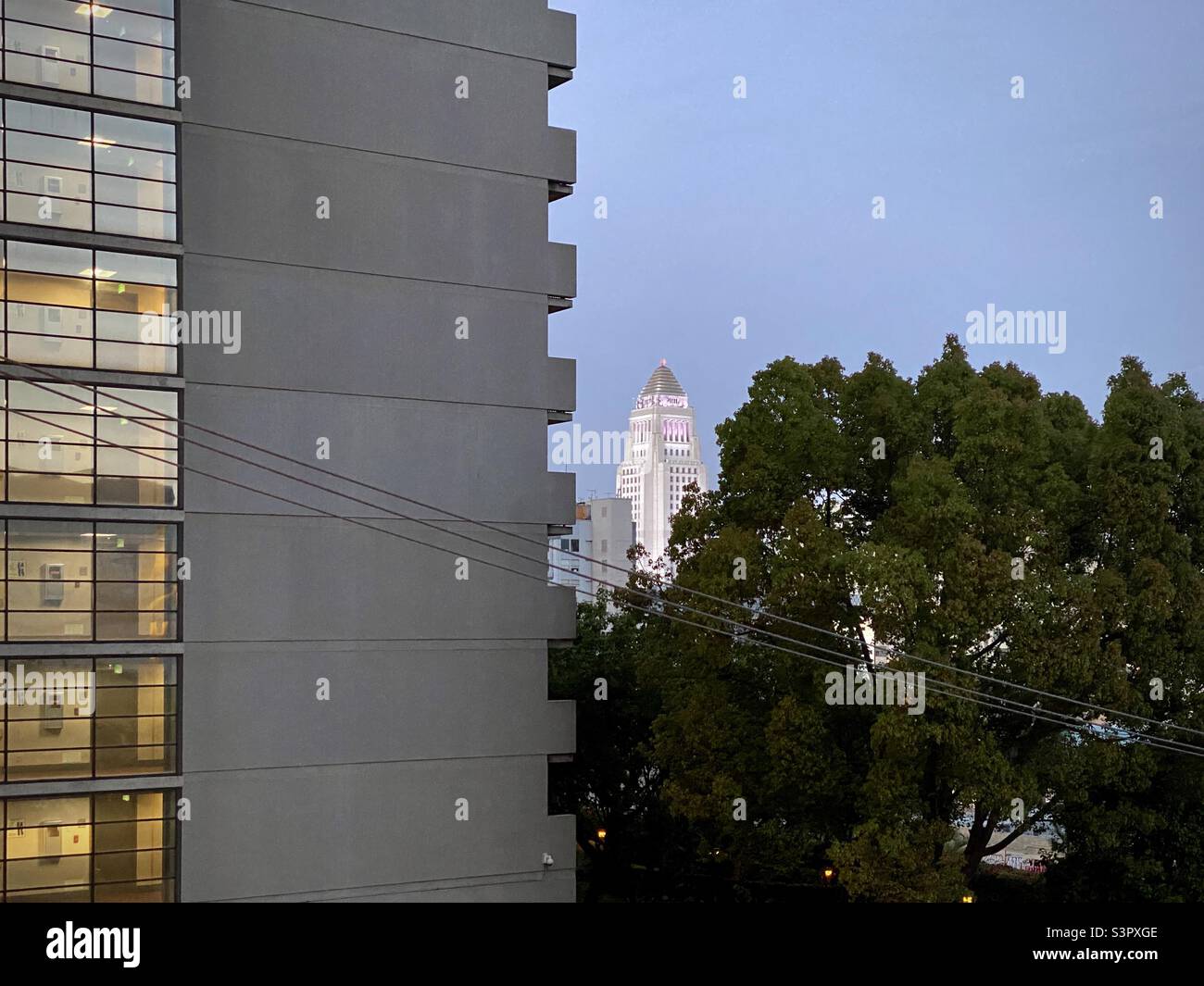 LOS ANGELES, CA, APR 2021: looking past foreground apartments to City Hall lit up pink in the distance, Downtown, dusk - Smartphone Captured Stock Image